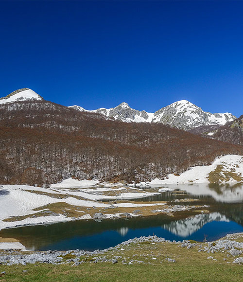 Lago Vivo